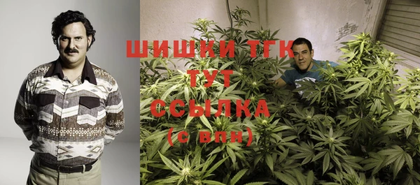 тгк Абинск
