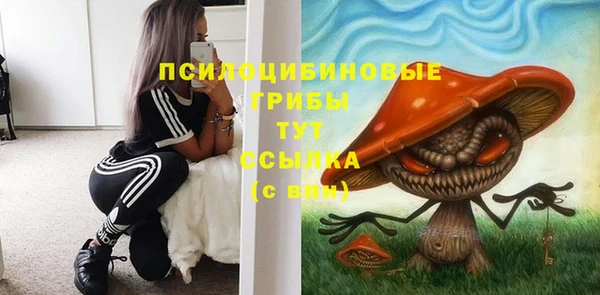 тгк Абинск