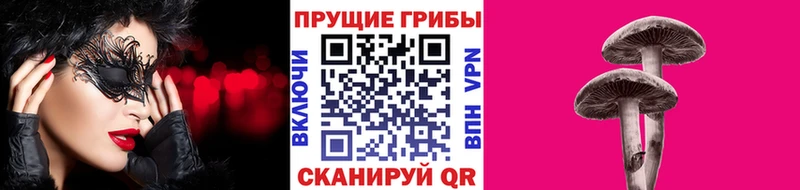 Псилоцибиновые грибы Psilocybe  Трубчевск 